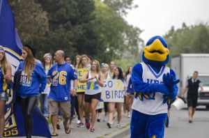 UBC Sports Review